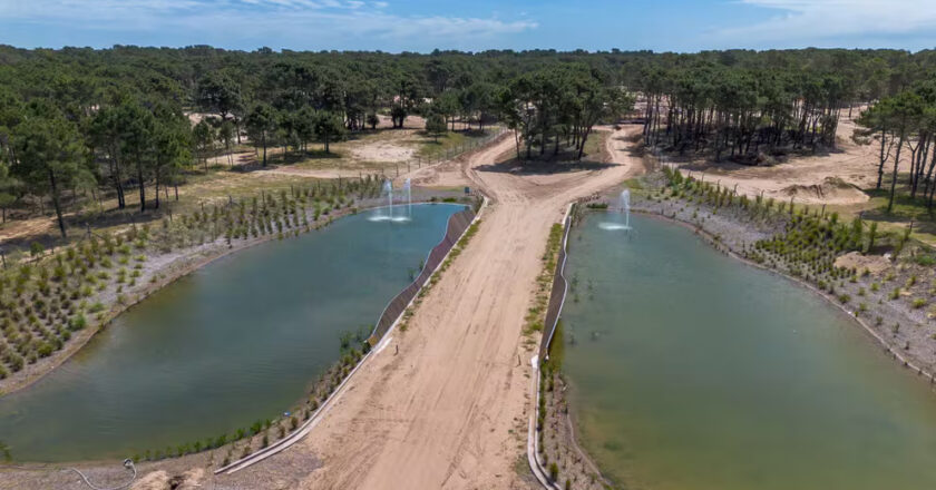 Bosques de pinos, confort y mar: cómo es el barrio residencial que ofrece un innovador concepto para disfrutar de Pinamar