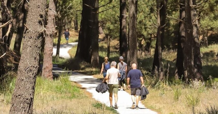 70% de ocupación en el fin de largo de Octubre