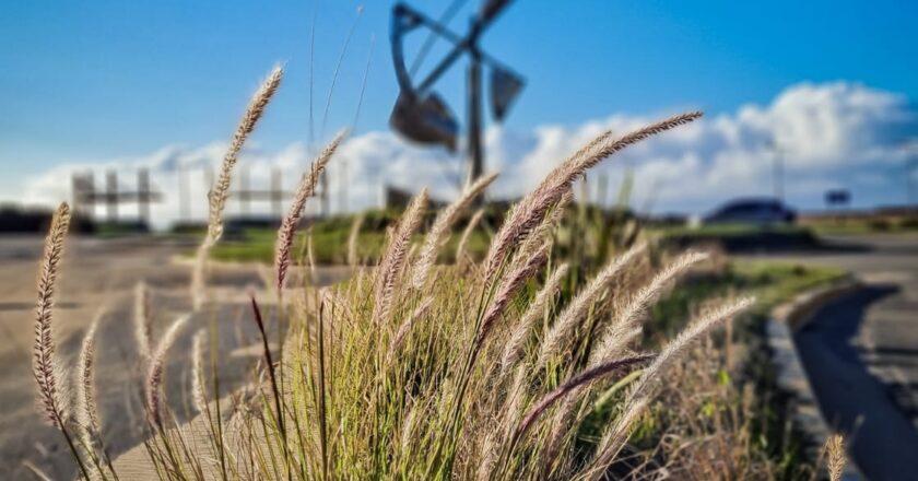 Convocatoria pública a la exposición del proyecto de Presupuesto de Gastos y Cálculo de Recursos del ejercicio 2025