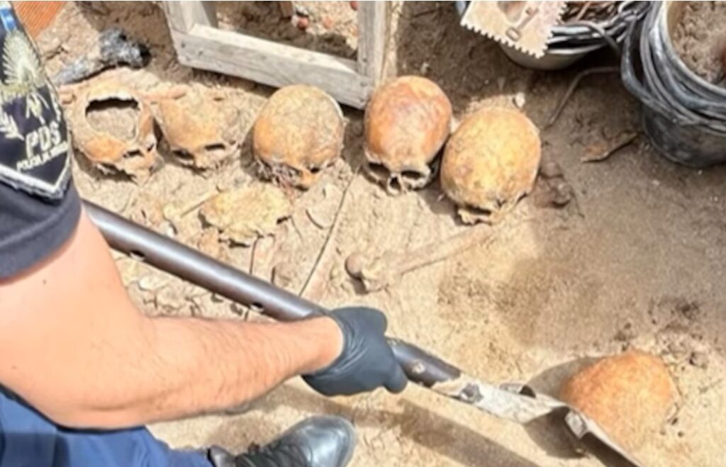 Restos humanos en Ostende una hipótesis de la investigación apunta a ritos umbandas