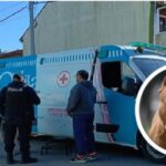 Mar del Tuyú: Turista herido tras ser atacado por un pitbull mientras caminaba por la playa