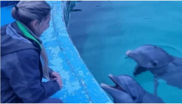 Qué dice la denuncia que presentó Guillermo Montenegro contra los responsables del predio Aquarium Mar del Plata