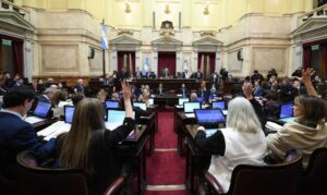Zona Fría: el Senado eliminó el subsidio al gas natural para 24 distritos de la Quinta Sección