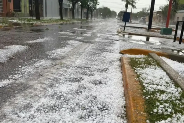 Una fuerte granizada azotó a Santa Fe: familias evacuadas, animales muertos y clases suspendidas