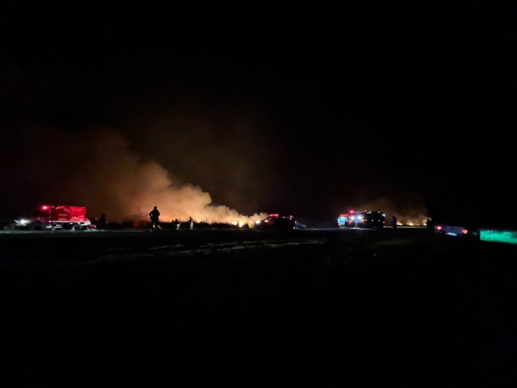 Un incendio forestal movilizó a todo el Cuartel de Bomberos de Pinamar